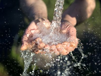 Environmental Impact